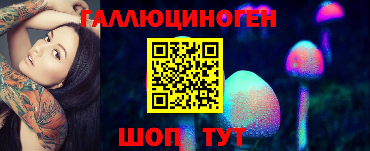 Псилоцибиновые грибы MAGIC MUSHROOMS  Галлюциногенные грибы Psilocybe  Елец  Вход с VPN 